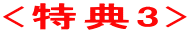 <特典3>