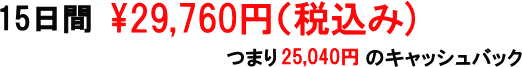 15日間の価格