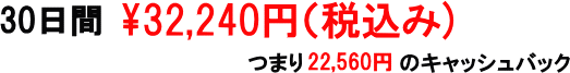 30日間の価格